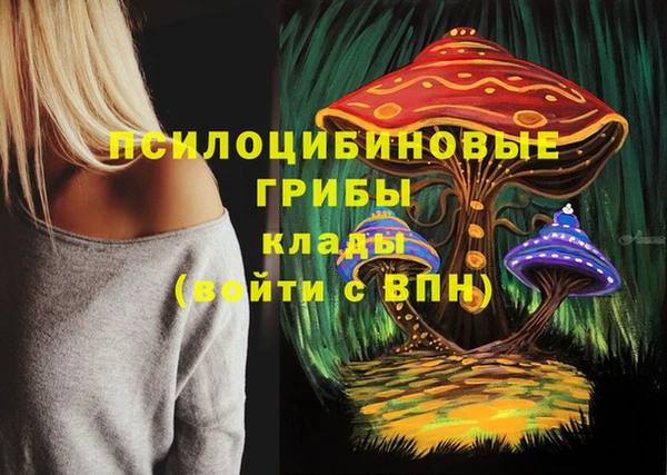 метамфетамин Рославль